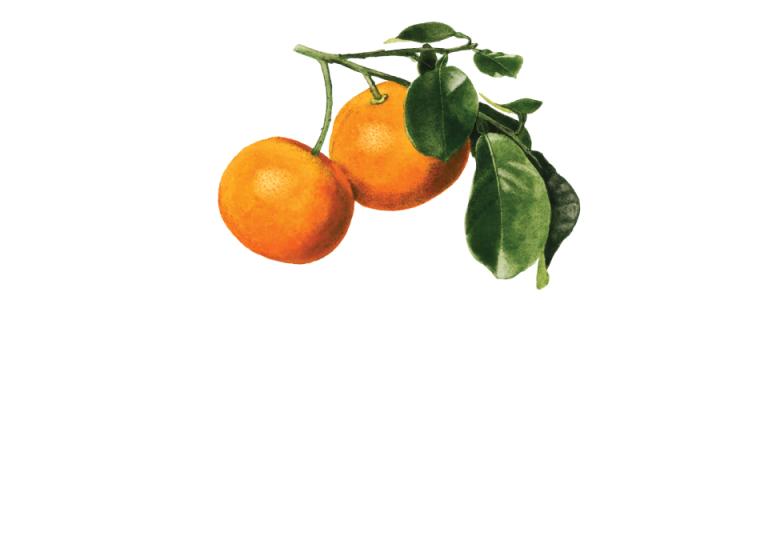 kitron-vertical-whiteletters-01-1.png
